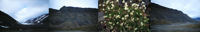 Svalbard, Longyearbyen area