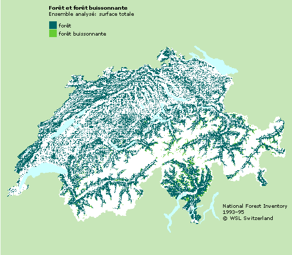For&ecirc;t et for&ecirc;t buissonnante