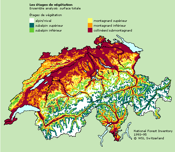 Les &eacute;tages de v&eacute;g&eacute;tation