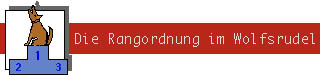 Die Rangordnung im Wolfsrudel