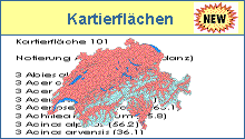 Kartierfl&auml;chen