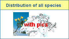 Distribution