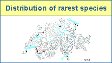 Rare species