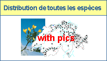 Distribution