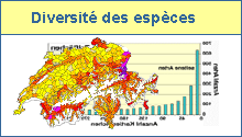 Diversit&eacute;