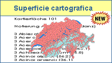 Superfizie cartografica