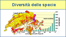 Diversit&agrave;