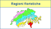 Regione floristiche