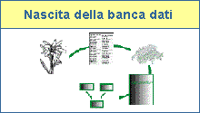 Nascita